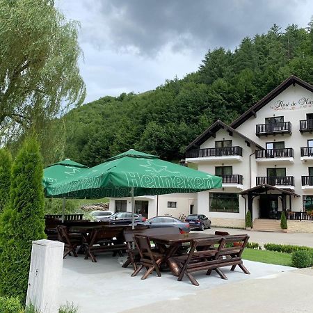 Flori De Mar Hotel Poiana Mărului Esterno foto